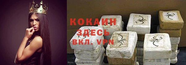 дмт Нягань