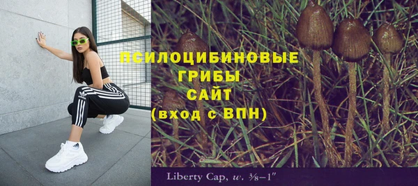 ALPHA PVP Нязепетровск