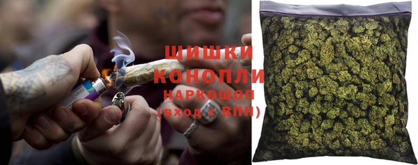 дмт Нягань