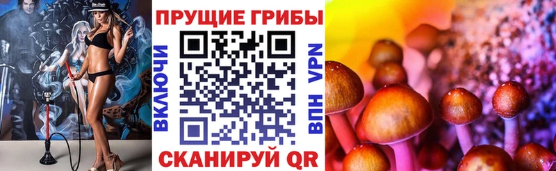 Галлюциногенные грибы ЛСД  хочу наркоту  Нижняя Салда 